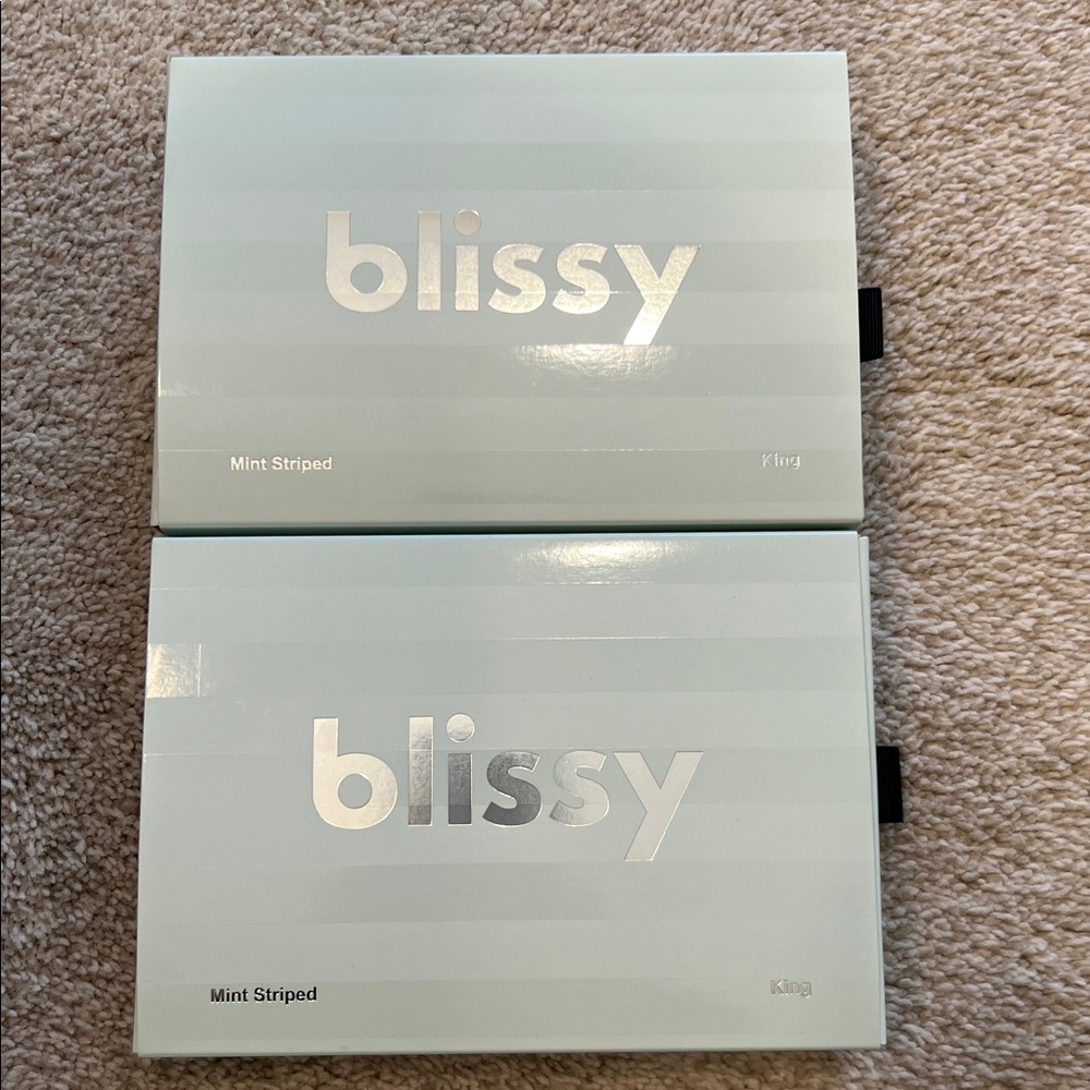 Blissy Mint Green 2 Striped King Size Pillowcases - Picture 2 of 7